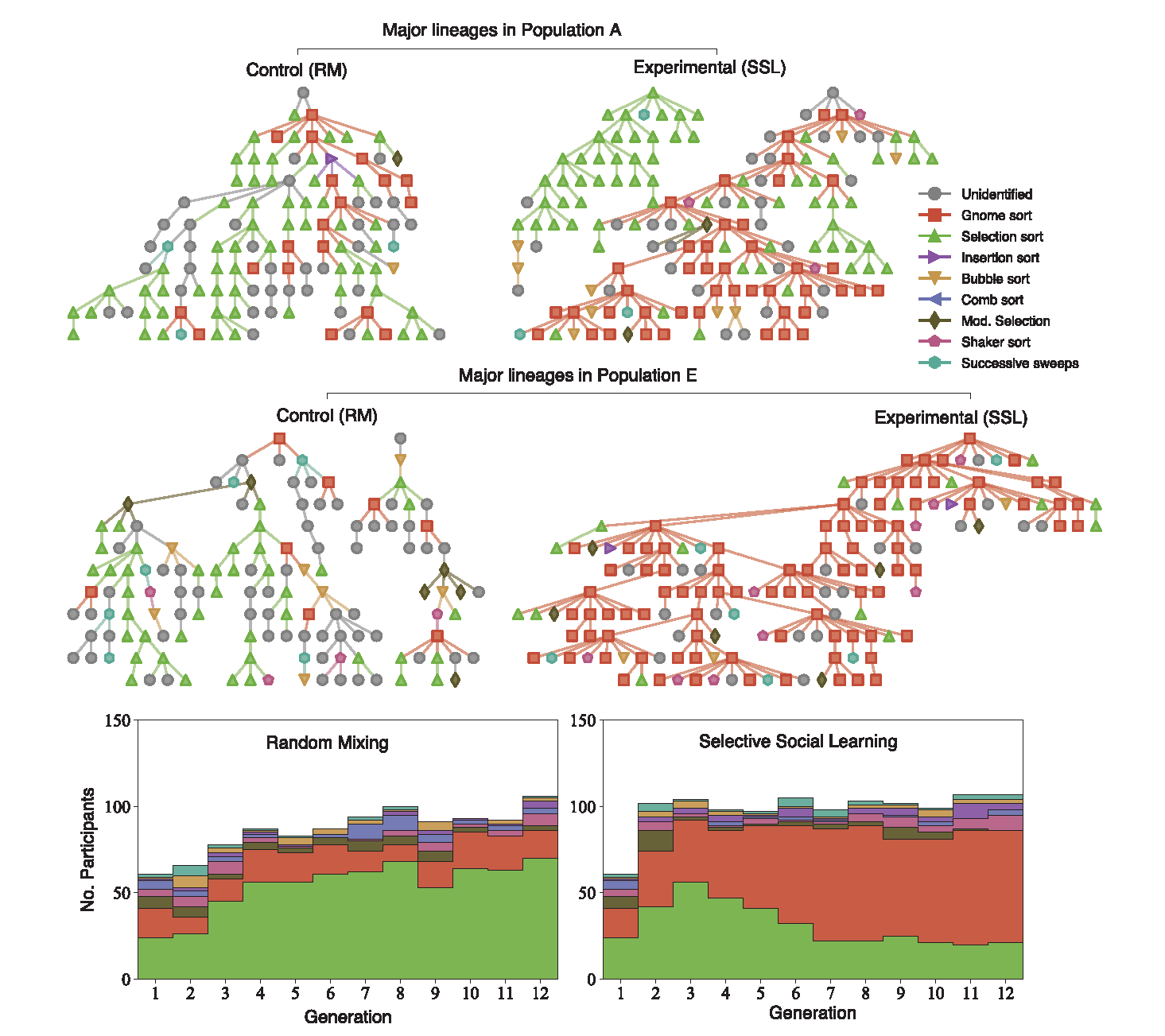 algorithmic trees