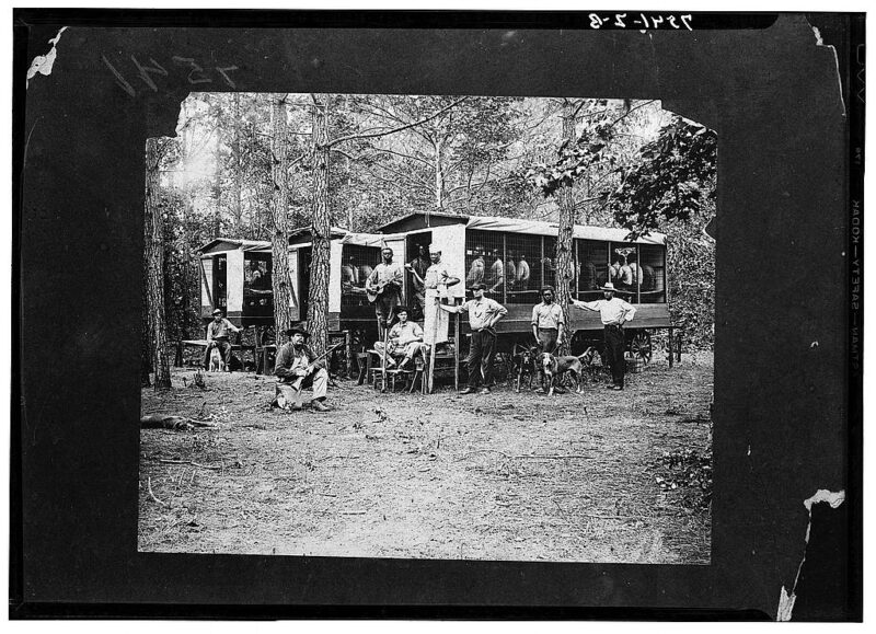 Chain gang of convicts engaged in road work. Pitt County, North Carolina. Autumn 1910. The inmates were quartered in the wagons shown in the picture. Wagons were equipped with bunks and move from place to place as labor is utilized. The central figure in the picture is J.Z. McLawhon, who was at that time county superintendent of chain gangs. The dogs are bloodhounds used for running down any attempted escapes