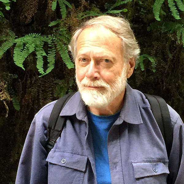 David Hollinger
